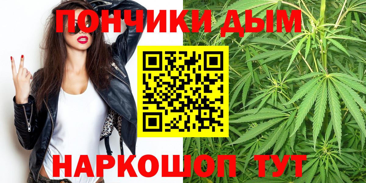 Каннабис сатива Миасс